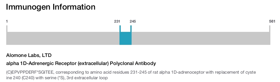 alpha 1D-Adrenergic Receptor (extracellular) Polyclonal Antibody