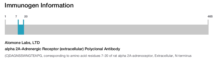 alpha 2A-Adrenergic Receptor (extracellular) Polyclonal Antibody