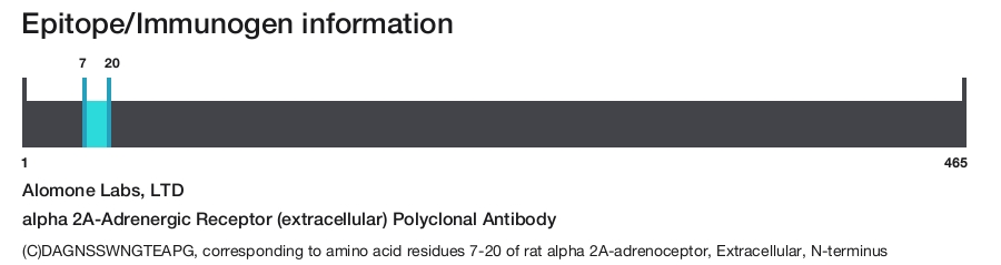 Alpha Ii Reeptyor alpha 2A-Adrenergic Receptor (extracellular) Polyclonal Antibody ...