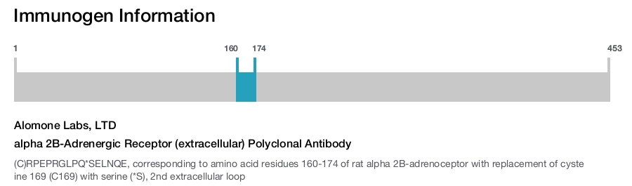 alpha 2B-Adrenergic Receptor (extracellular) Polyclonal Antibody