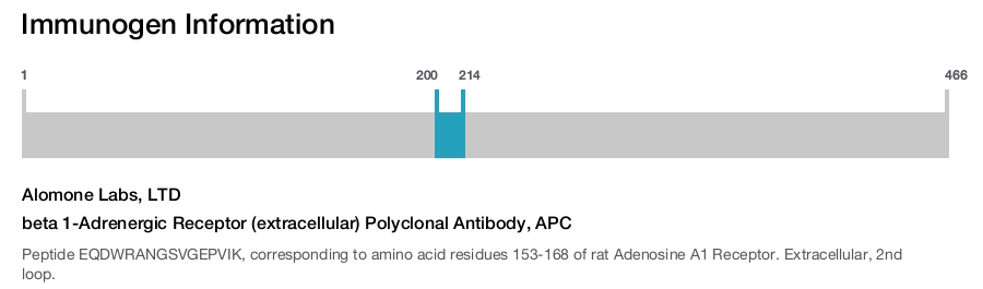 beta 1-Adrenergic Receptor (extracellular) Polyclonal Antibody, APC