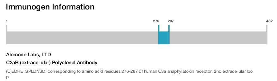 C3aR (extracellular) Polyclonal Antibody