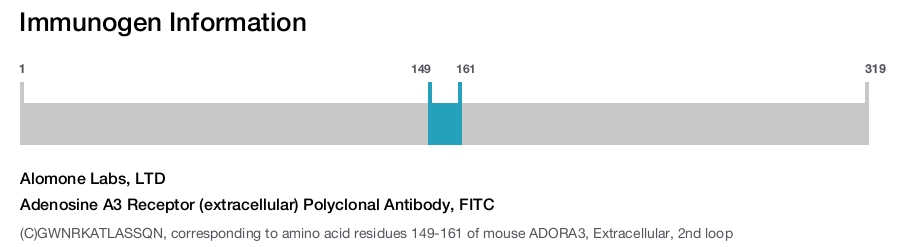 Adenosine A3 Receptor (extracellular) Polyclonal Antibody, FITC