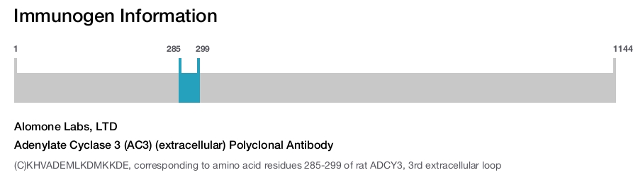 Adenylate Cyclase 3 (AC3) (extracellular) Polyclonal Antibody