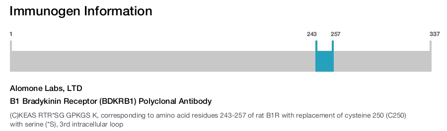 B1 Bradykinin Receptor (BDKRB1) Polyclonal Antibody