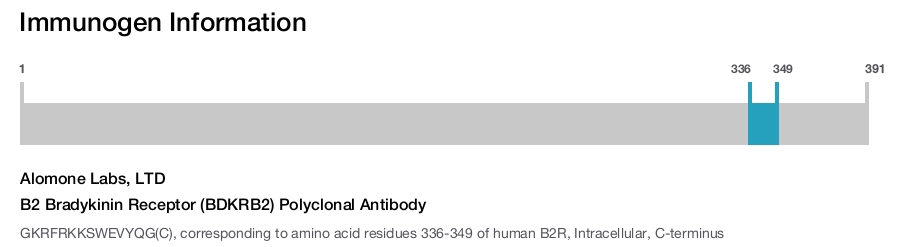 B2 Bradykinin Receptor (BDKRB2) Polyclonal Antibody