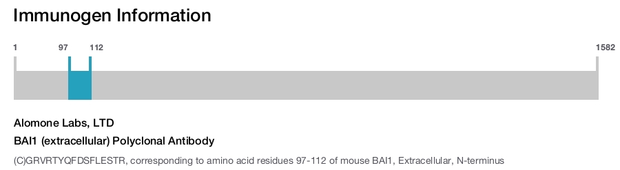 BAI1 (extracellular) Polyclonal Antibody