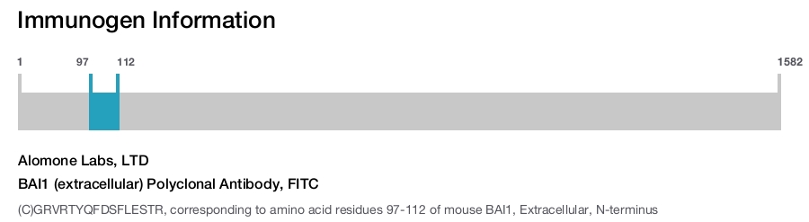 BAI1 (extracellular) Polyclonal Antibody, FITC