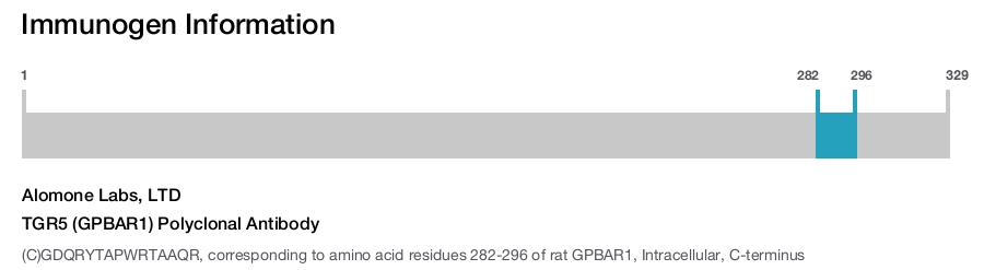 TGR5 (GPBAR1) Polyclonal Antibody