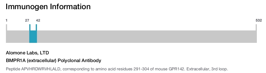 BMPR1A (extracellular) Polyclonal Antibody