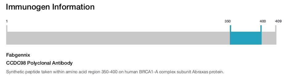 CCDC98 Polyclonal Antibody