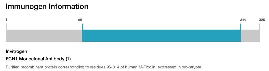 FCN1 Monoclonal Antibody (1)