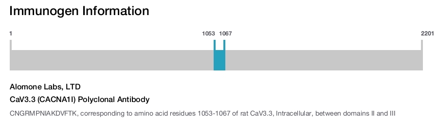 CaV3.3 (CACNA1I) Polyclonal Antibody