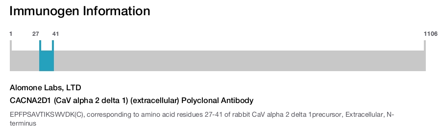 CACNA2D1 (CaV alpha 2 delta 1) (extracellular) Polyclonal Antibody