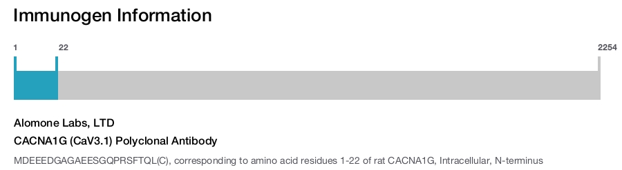 CACNA1G (CaV3.1) Polyclonal Antibody