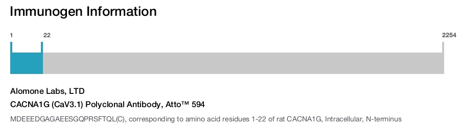 CACNA1G (CaV3.1) Polyclonal Antibody, Atto™ 594