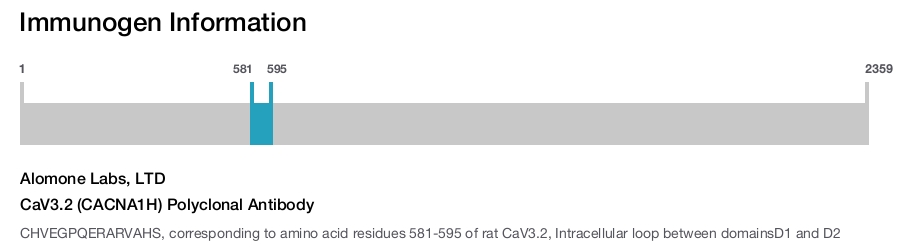 CaV3.2 (CACNA1H) Polyclonal Antibody