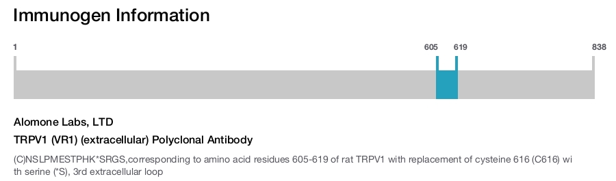 TRPV1 (VR1) (extracellular) Polyclonal Antibody