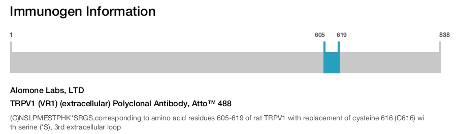TRPV1 (VR1) (extracellular) Polyclonal Antibody, Atto™ 488