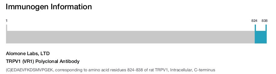 TRPV1 (VR1) Polyclonal Antibody