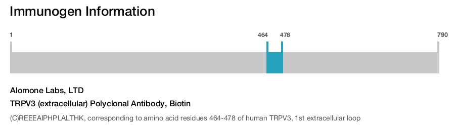 TRPV3 (extracellular) Polyclonal Antibody, Biotin