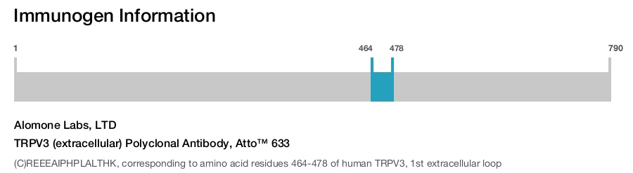 TRPV3 (extracellular) Polyclonal Antibody, Atto™ 633