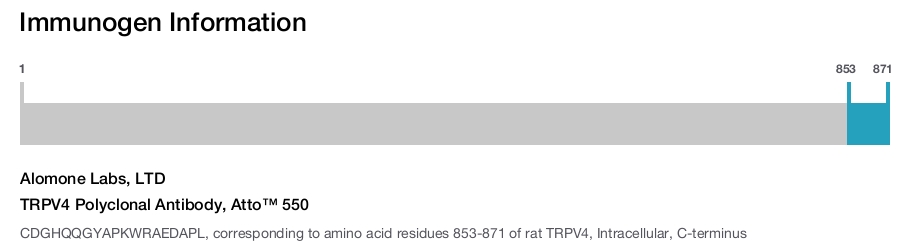 TRPV4 Polyclonal Antibody, Atto™ 550