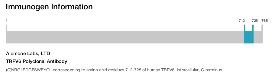 TRPV6 Polyclonal Antibody