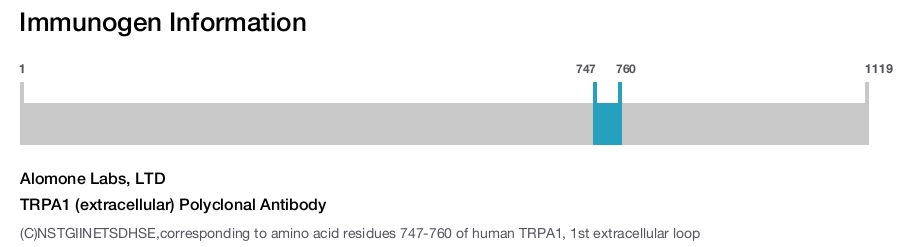 TRPA1 (extracellular) Polyclonal Antibody