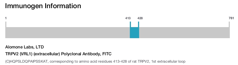 TRPV2 (VRL1) (extracellular) Polyclonal Antibody, FITC