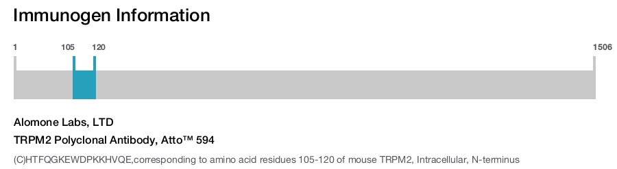 TRPM2 Polyclonal Antibody, Atto™ 594