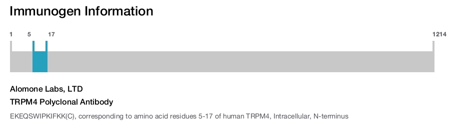 TRPM4 Polyclonal Antibody