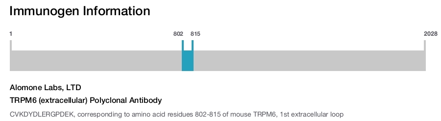 TRPM6 (extracellular) Polyclonal Antibody