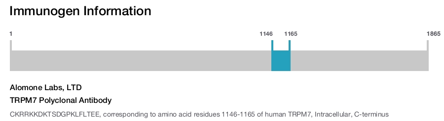 TRPM7 Polyclonal Antibody