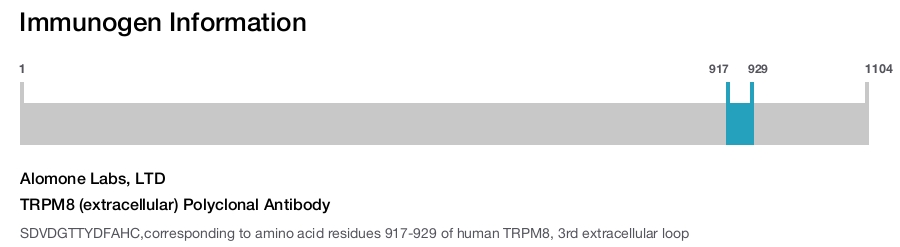 TRPM8 (extracellular) Polyclonal Antibody