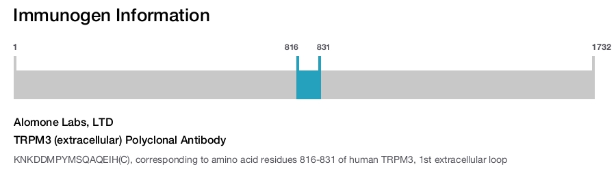 TRPM3 (extracellular) Polyclonal Antibody
