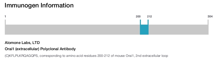Orai1 (extracellular) Polyclonal Antibody