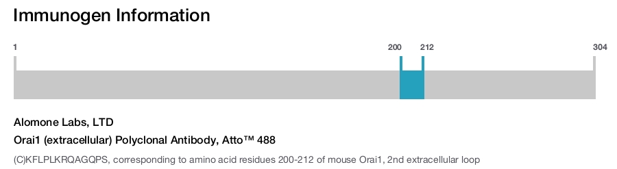 Orai1 (extracellular) Polyclonal Antibody, Atto™ 488