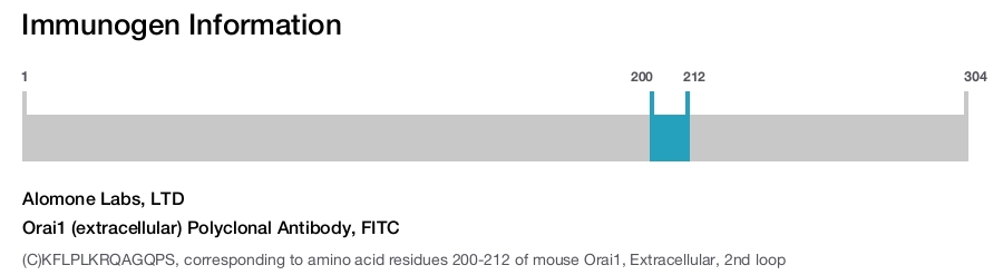 Orai1 (extracellular) Polyclonal Antibody, FITC