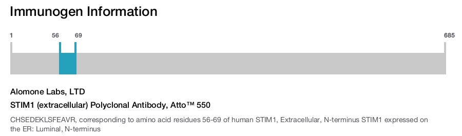 STIM1 (extracellular) Polyclonal Antibody, Atto™ 550