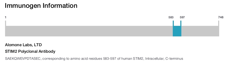 STIM2 Polyclonal Antibody