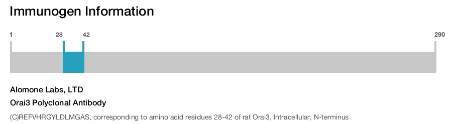 Orai3 Polyclonal Antibody