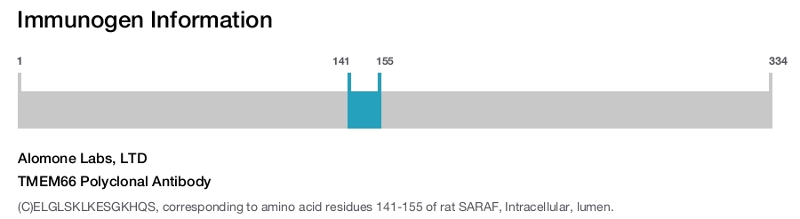 TMEM66 Polyclonal Antibody