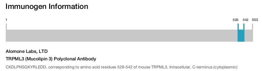 TRPML3 (Mucolipin 3) Polyclonal Antibody