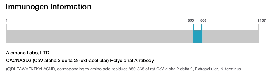 CACNA2D2 (CaV alpha 2 delta 2) (extracellular) Polyclonal Antibody