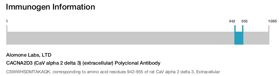 CACNA2D3 (CaV alpha 2 delta 3) (extracellular) Polyclonal Antibody