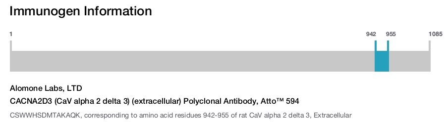 CACNA2D3 (CaV alpha 2 delta 3) (extracellular) Polyclonal Antibody, Atto™ 594