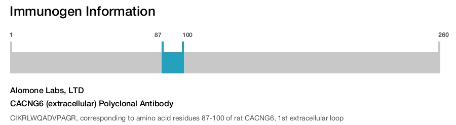 CACNG6 (extracellular) Polyclonal Antibody