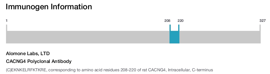 CACNG4 Polyclonal Antibody