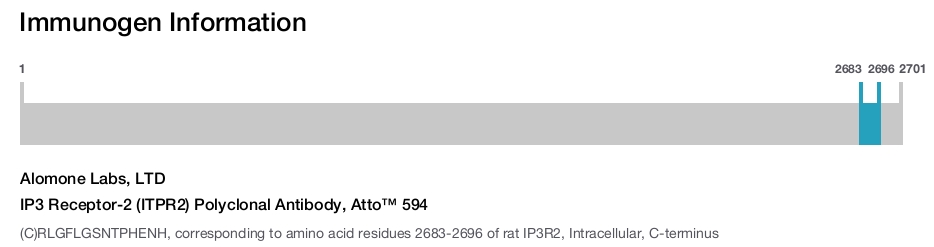 IP3 Receptor-2 (ITPR2) Polyclonal Antibody, Atto™ 594